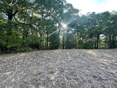 unlisted-address, Denton, TX 76205 - photo 3