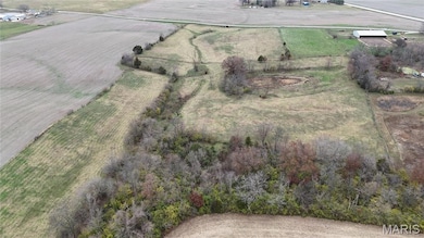 000 Celeste Estates Dr, Waterloo, IL 62298 - photo 5