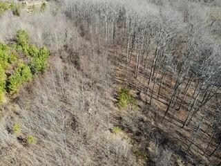 0 Preston Baggett Rd, Tennessee Ridge, TN 37178 - photo 3