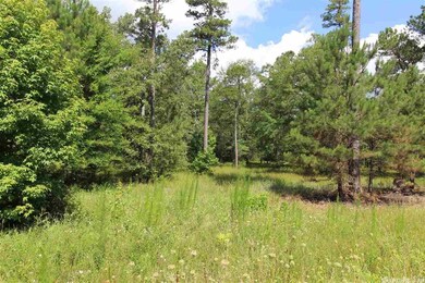 0 Highway 167 S unit 20002810, Sheridan, AR 72150 - photo 7