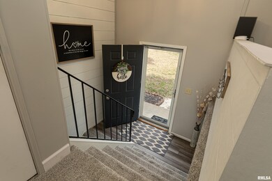 1219 Borders Ln, Harrisburg, IL 62946 - photo 4