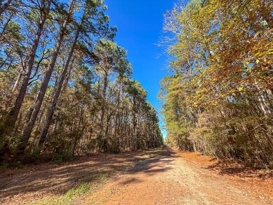Forest Service Road 527, Apple Springs, TX 75926 - photo 6