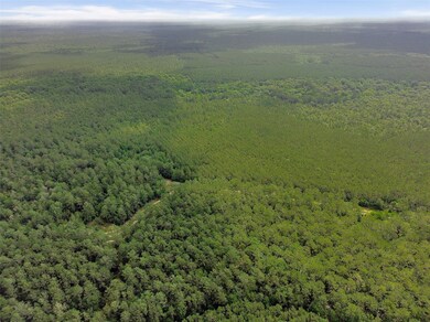 0 Gates Rd unit 19511867, Devers, TX 77533 - photo 7