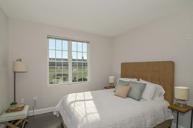 431 River St unit 406, Waltham, MA 02453 - photo 5