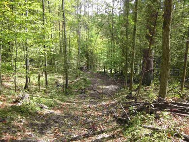 00 Perch Pond Rd, Lisbon, NH 03585 - photo 6