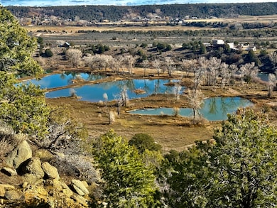 7149/7498 County Road 213, Durango, CO 81303 - photo 4