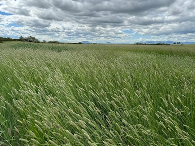 5050 Cutbank Creek Rd, Geraldine, MT 59446 - photo 2