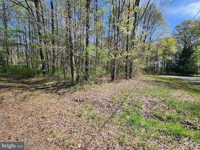 0 Bunting Rd, 6, Fairlee, MD 21620 - photo 3