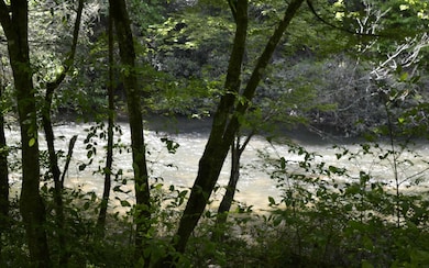 Additional View