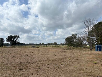 2443 Fm 1653, Ben Wheeler, TX 75754 - photo 6