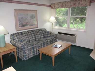 159 Deer Park Dr unit 159A, Woodstock, NH 03262 - photo 4