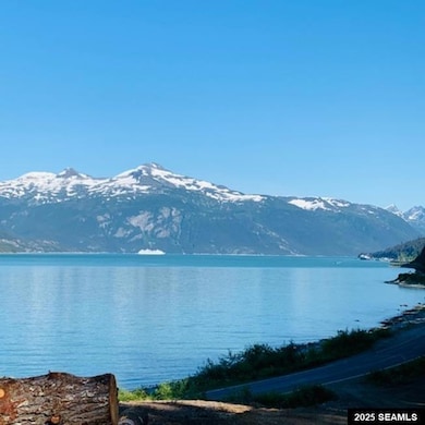 6.5 Mile Legal Address Only unit Lutak Road, Haines, AK 99827 - photo 6