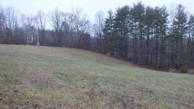 5.25 Acres Bull Creek Rd, Mars Hill, NC 28754 - photo 4