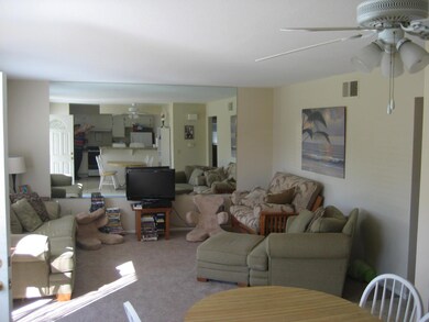 Viceroy 670 Thrush #1 005