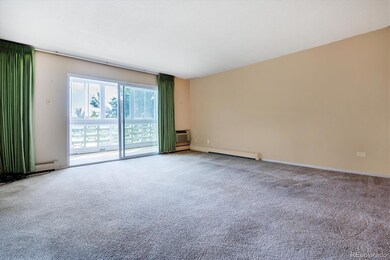 9180 E Center Ave unit 4C, Denver, CO 80247 - photo 7
