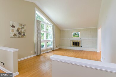7124 Park Terrace Dr, Alexandria, VA 22307 - photo 4