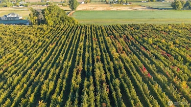 1 Mountainview Rd, Grandview, WA 98930 - photo 4