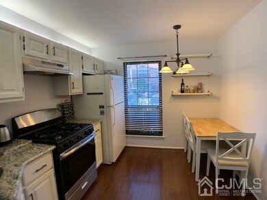 225 Hampshire Ct, Piscataway, NJ 08854 - photo 4