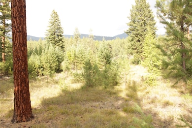 27603 Issac Creek Rd, Huson, MT 59846 - photo 7