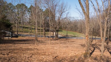 DJI_0442