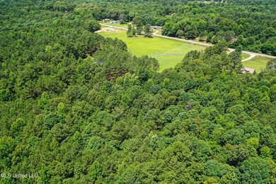 DJI_0814
