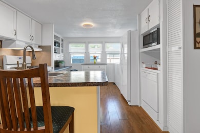 KITCHEN SHOWING DISH WASHER.jpg mls