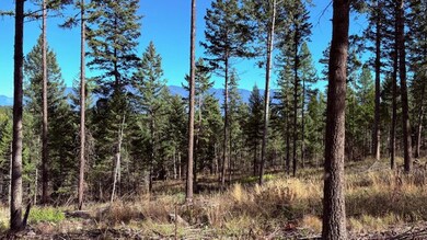 Nhn Soaring Eagle Dr, Whitefish, MT 59937 - photo 7