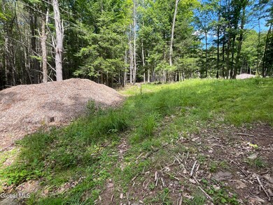 TBD Boulder Brook Rd unit Lot  12, Windham, NY 12496 - photo 5