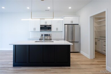 3011 Hawthorne Place Dr, Cape Girardeau, MO 63701 - photo 5