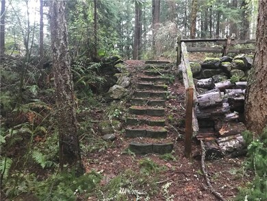 22237 Bluewater Dr SE, Yelm, WA 98597 - photo 4