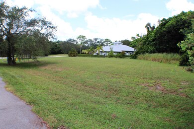 Banyanway4