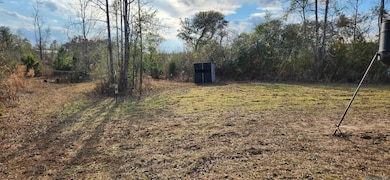 TBD-Tract 1 Gilead Rd, Clinton, LA 70722 - photo 7