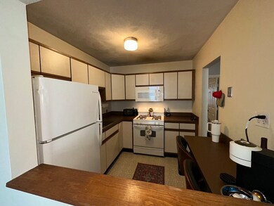 181 W 8th St unit 2, Boston, MA 02127 - photo 3