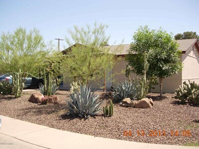 Desert Landscaping