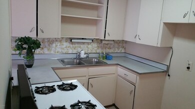 SeldonKitchen3