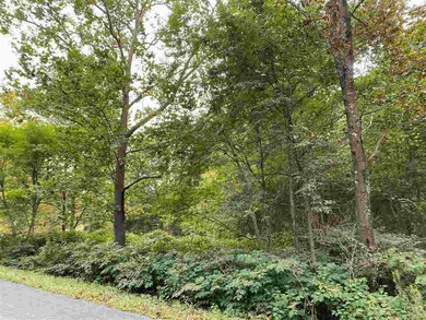 0 Hollow Run Rd, Luray, VA 22835 - photo 2