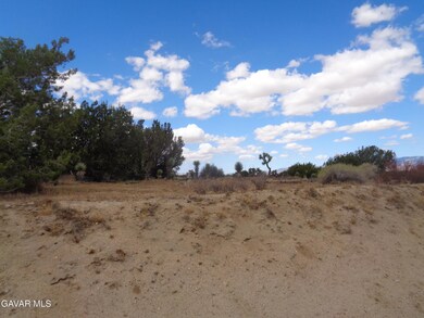 190th Stw Ave D12, Palmdale, CA 93591 - photo 3