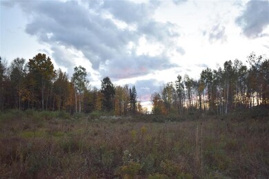 0 S Ridge Rd unit 4834257, Sutton, VT 05867 - photo 6