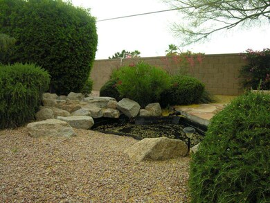 Pond