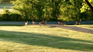 1921 Fiducia Rd, Prospect, TN 38477 - photo 2