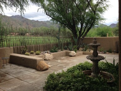 Backyard with fountain