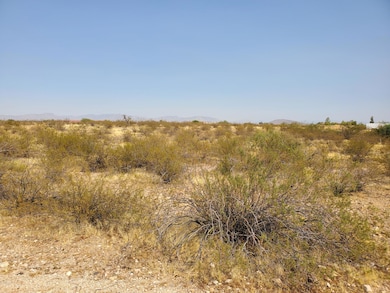 21400 W Vista Royale Dr unit 26, Wickenburg, AZ 85390 - photo 4