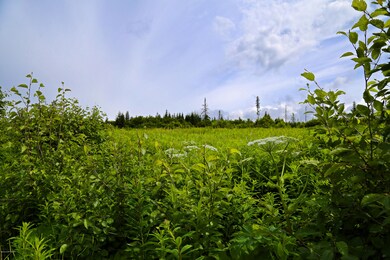 32800 Coyote Run Rd, Nikolaevsk, AK 99556 - photo 6