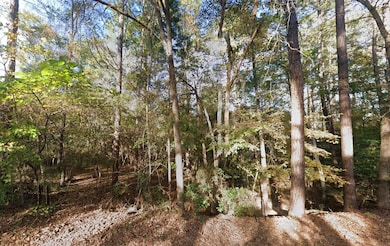 0 Zapata Way unit Willis TX 77378, Willis, TX 77378 - photo 3