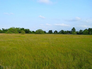 14515 Tierra Grande Dr, Needville, TX 77461 - photo 3