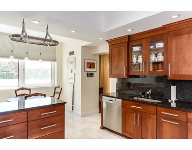 Hampton Place unit 300N, Chestnut Hill, MA 02467 - photo 2