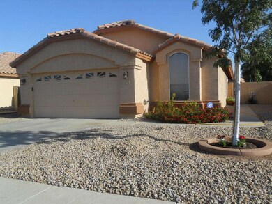 12738 palm2 002