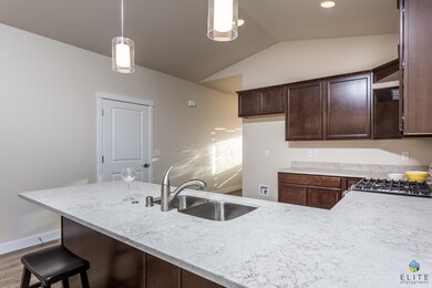 8031GrayhawkCir(8of16)