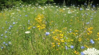 0 Fernalds Hill Way, Stow, ME 04037 - photo 4