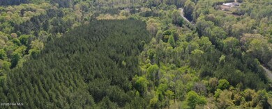 Tbd Nicholson Rd, Rockingham, NC 28379 - photo 3